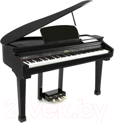 

Цифровой рояль Orla, Grand 120 Black
