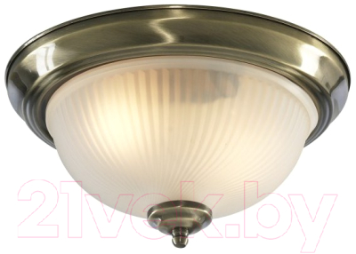 

Потолочный светильник Arte Lamp, Aqua A9370PL-2AB