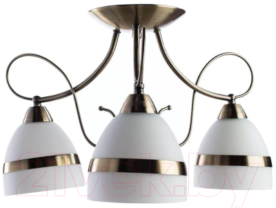 

Люстра Arte Lamp, Noemi A6192PL-3AB