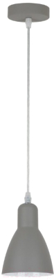 

Потолочный светильник Arte Lamp, Mercoled A5049SP-1GY