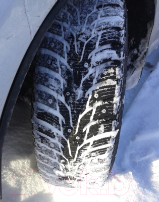 

Зимняя шина Nexen, WH62 190S 205/55R16 94T