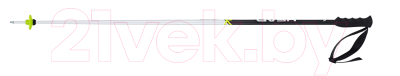 

Горнолыжные палки Head, Worldcup SL Bent / 381078