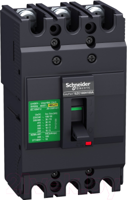 

Выключатель автоматический Schneider Electric, EZC100F3080