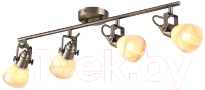 

Спот Arte Lamp, Tulip A9581PL-4AB