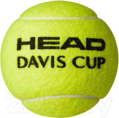 

Набор теннисных мячей Head, Davis Cup / 571354