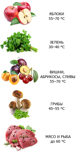 температура сушки овощей и фруктов